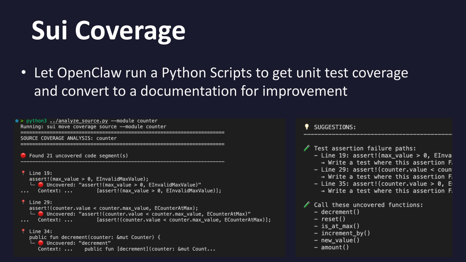 sui-coverage analysis
